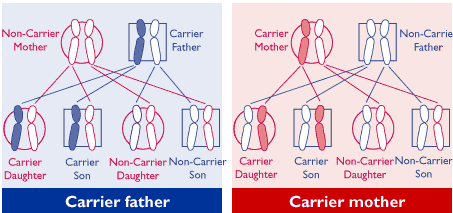 Inherited Breast Cancer