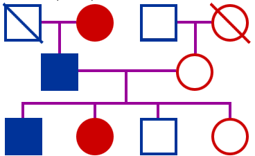 Pedigree With Disease Symbol