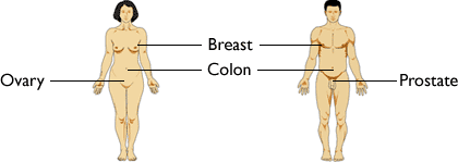 Woman Man Colon