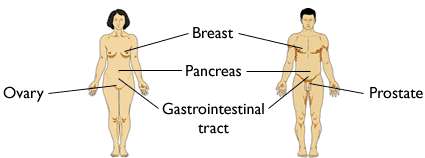 Woman Man Colon Breast